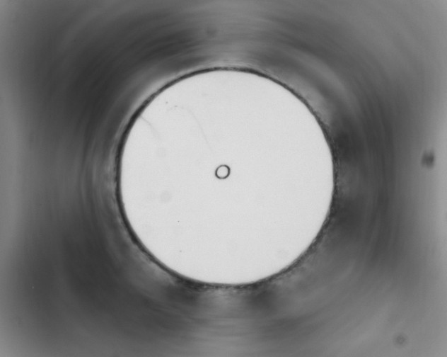 X0000103170950200808221231