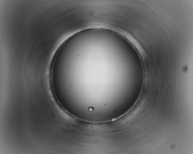 X0000103170951200808221231