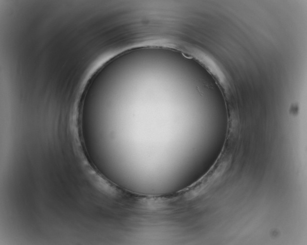 X0000103170952200808221231