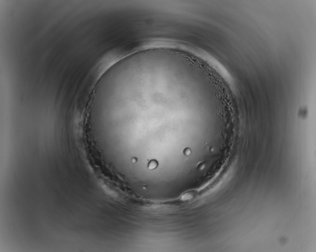 X0000103170953200808221231