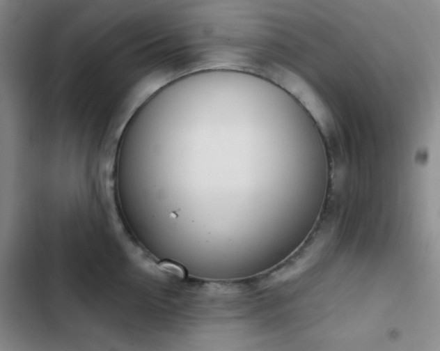 X0000103170954200808221231
