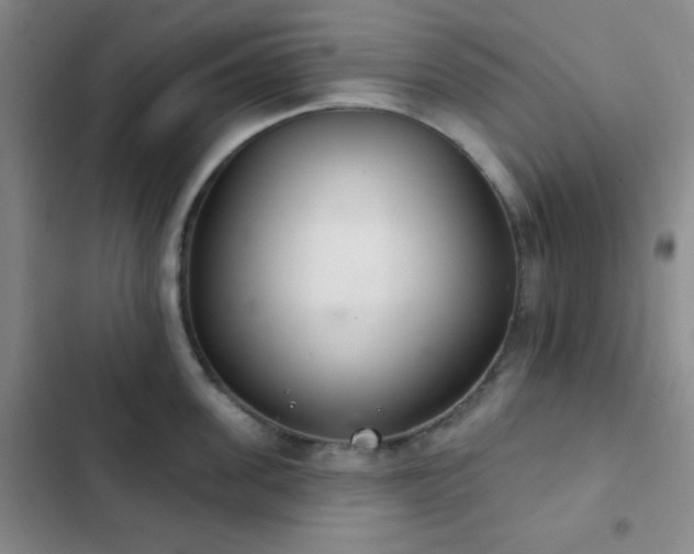 X0000103170955200808221231