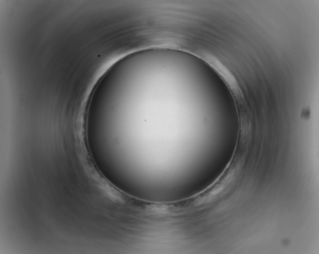 X0000103170956200808221231
