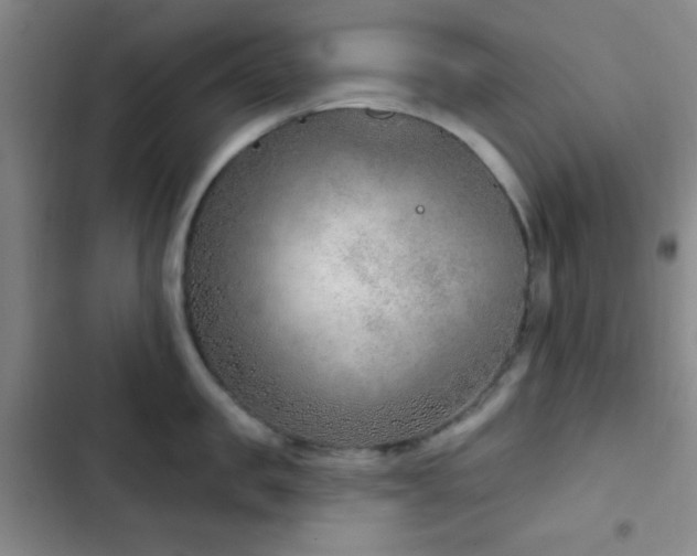 X0000103170957200808221231