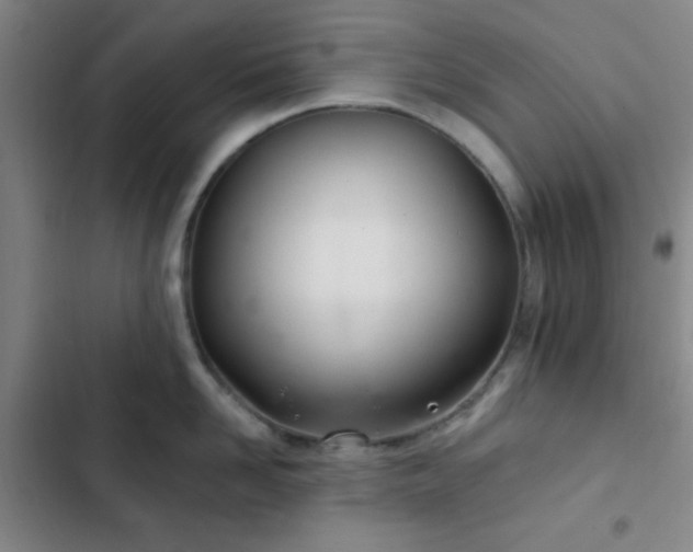 X0000103170958200808221231