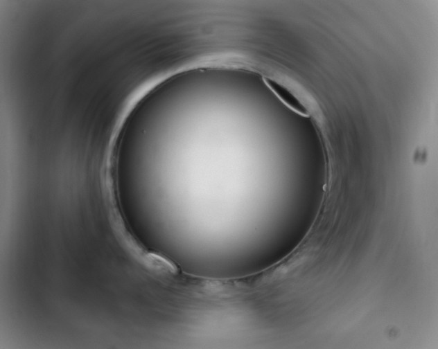 X0000103170960200808221231