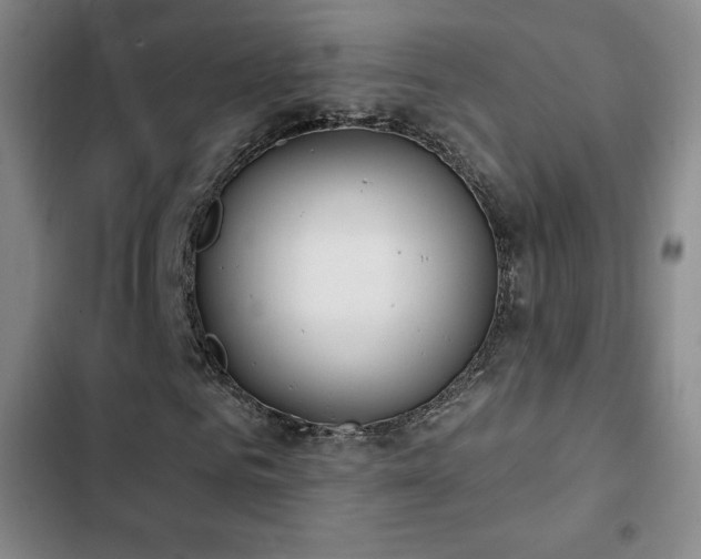 X0000103170961200808221231