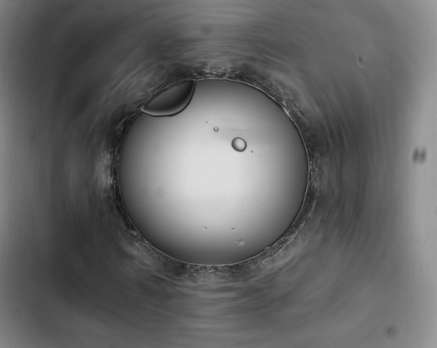 X0000103170962200808221231