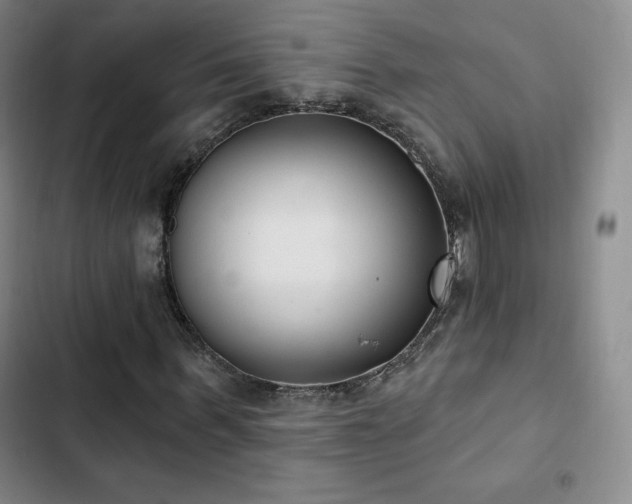 X0000103170963200808221231