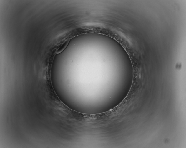 X0000103170965200808221231