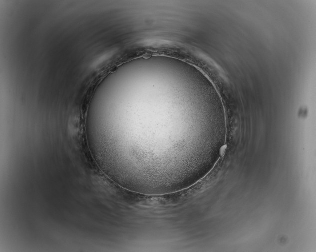 X0000103170966200808221231