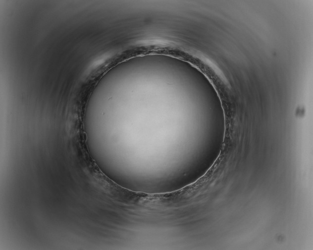 X0000103170967200808221231