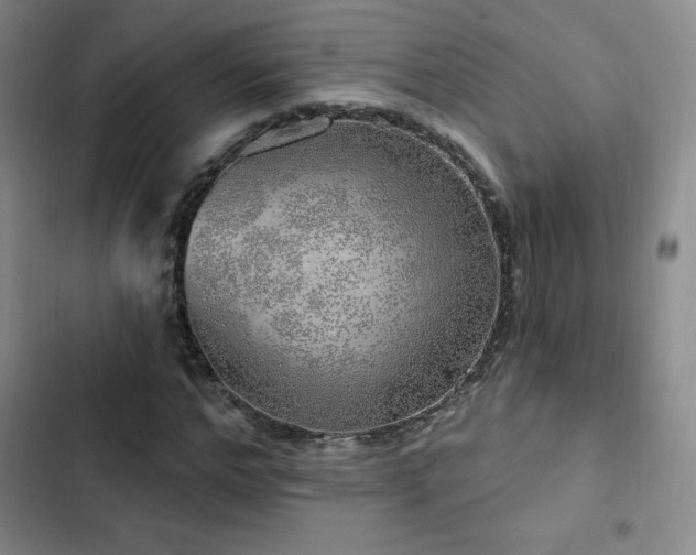 X0000103170968200808221231