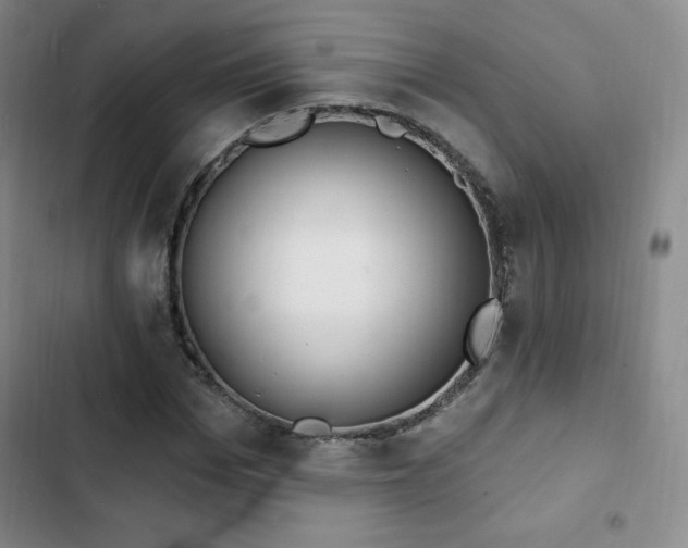 X0000103170969200808221231
