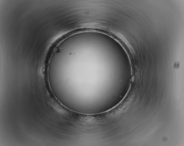X0000103170971200808221231