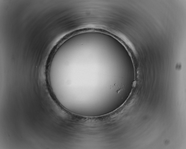 X0000103170972200808221231
