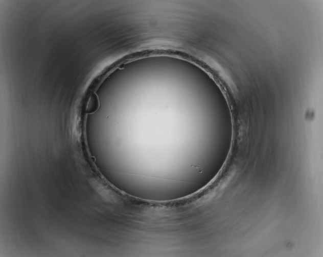 X0000103170973200808221231