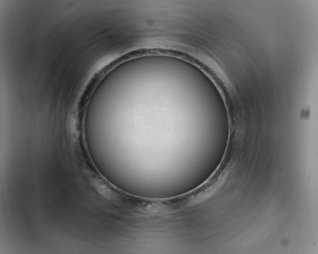 X0000103170974200808221231