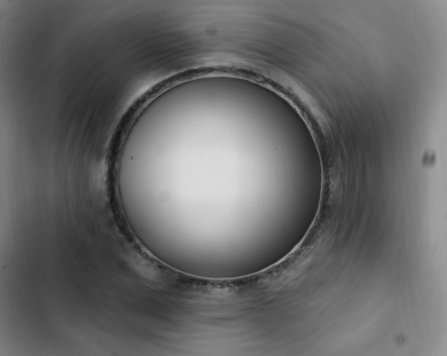 X0000103170975200808221231
