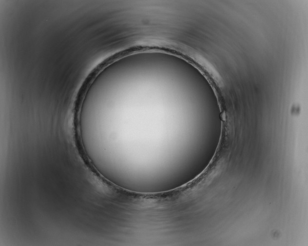 X0000103170976200808221231
