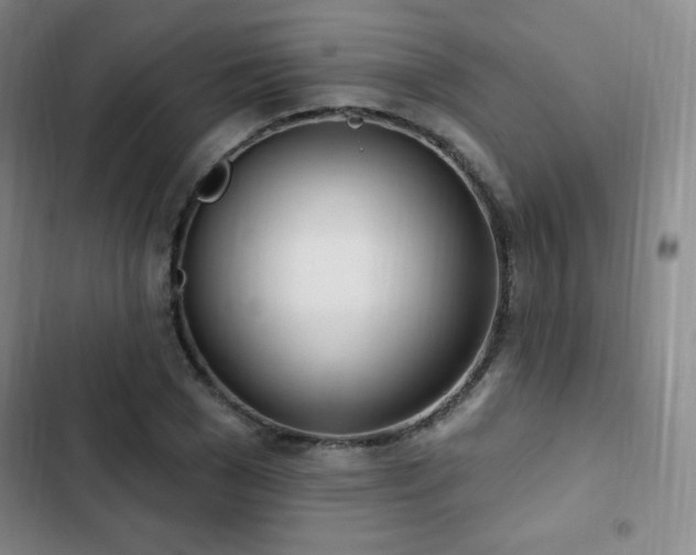 X0000103170977200808221231
