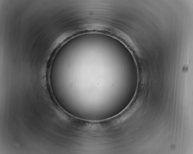 X0000103170978200808221231