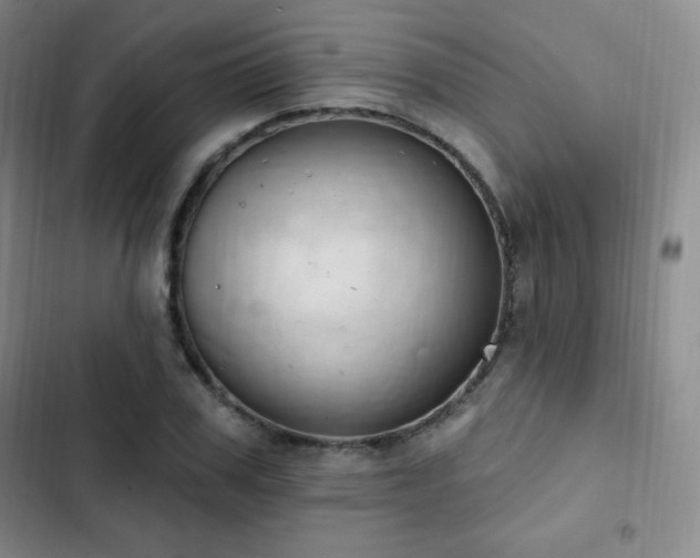 X0000103170979200808221231