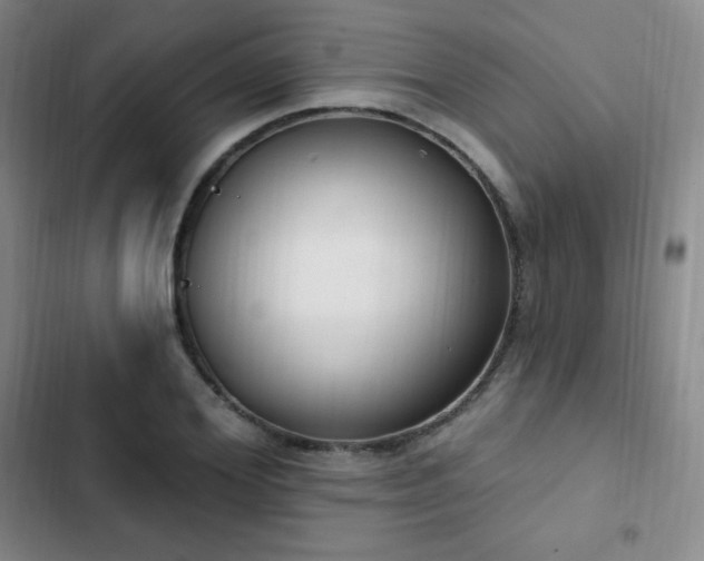 X0000103170980200808221230