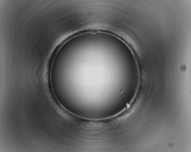 X0000103170981200808221230