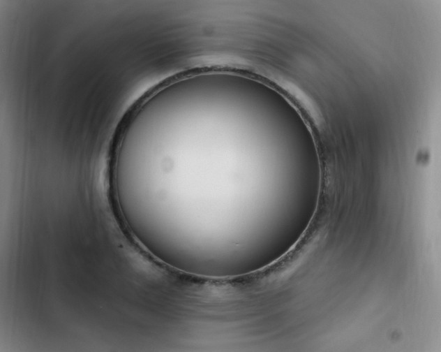 X0000103170983200808221230