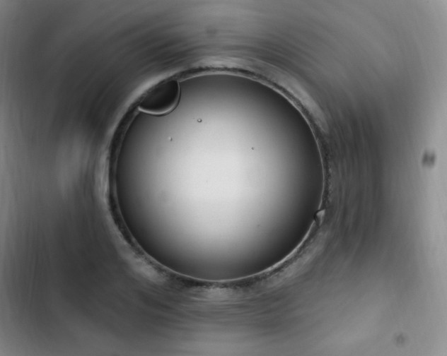 X0000103170984200808221230