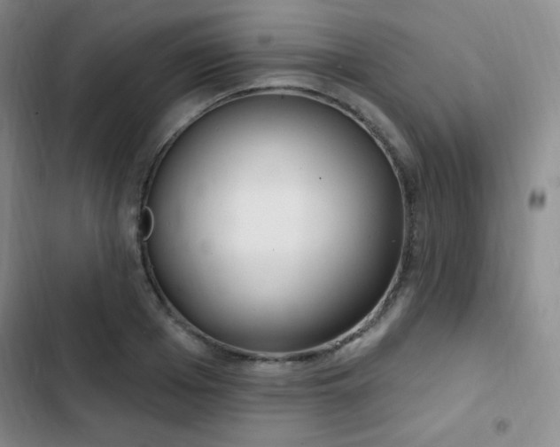 X0000103170985200808221230