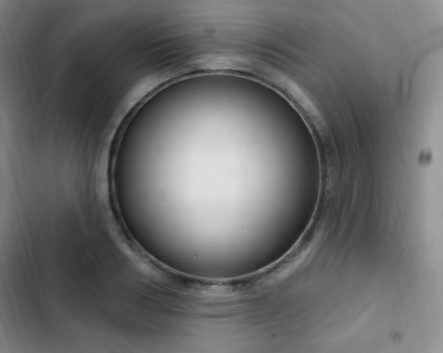 X0000103170986200808221230