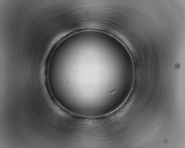 X0000103170987200808221230