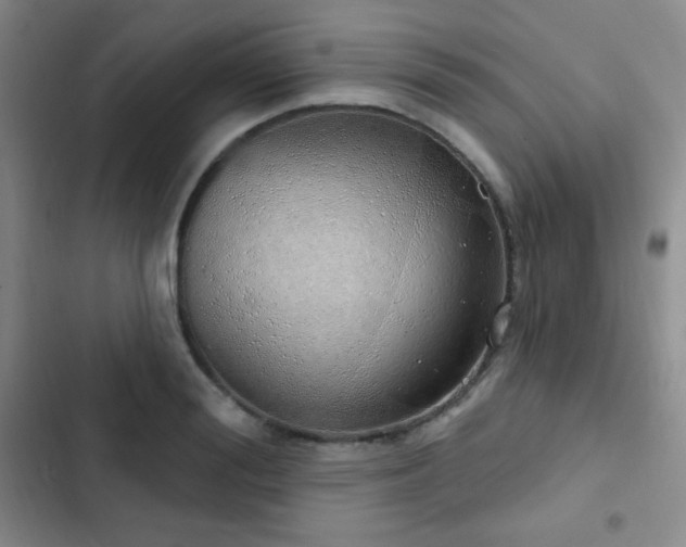X0000103170988200808221230