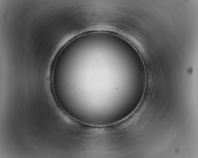 X0000103170990200808221230