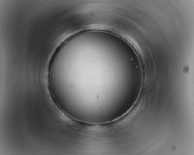X0000103170992200808221230