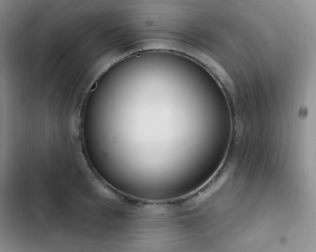 X0000103170993200808221230