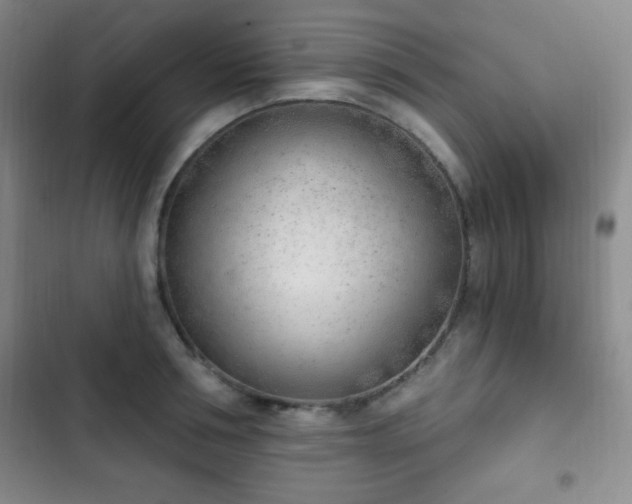 X0000103170994200808221230