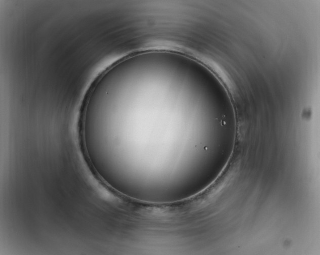 X0000103170995200808221230