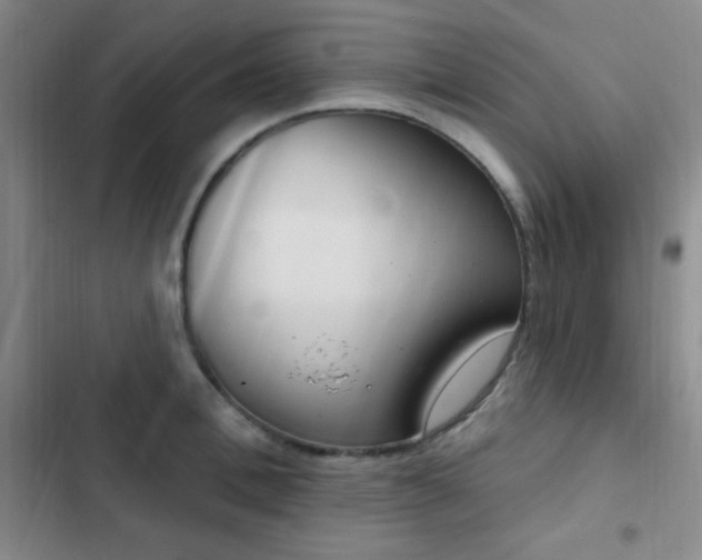 X0000103170996200808221230