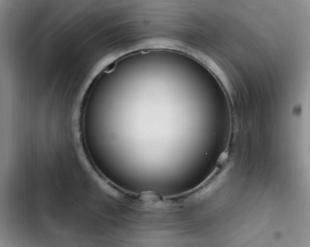 X0000103170997200808221230