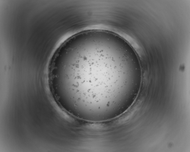 X0000103170998200808221230