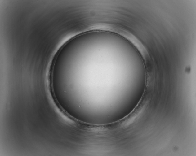 X0000103170999200808221230