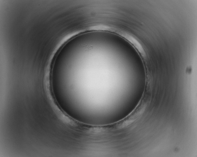 X0000103171000200808221230