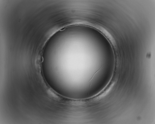X0000103171001200808221230