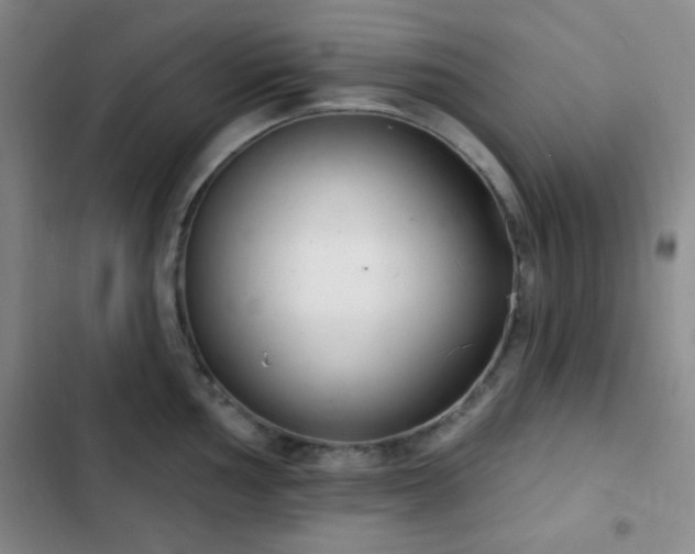 X0000103171002200808221230