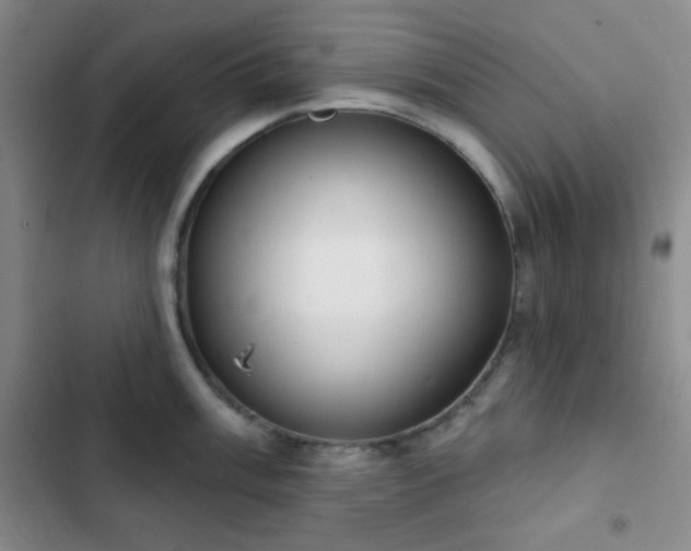 X0000103171003200808221230