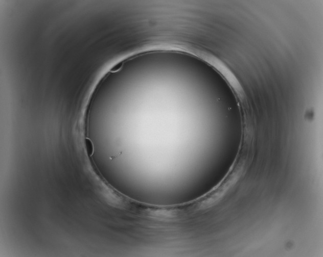 X0000103171004200808221230