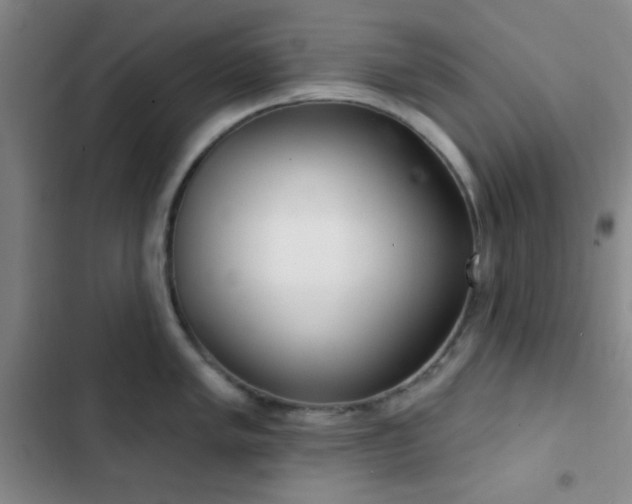 X0000103171005200808221230